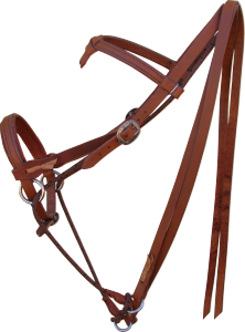 Bitless Bridle