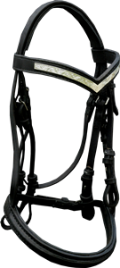 Custom Bridle
