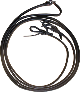 Joint Reins