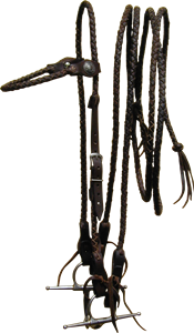 Plaited Bridle