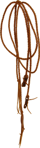 Plaited Reins