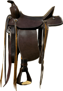 Western Pleasure