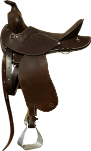 Western Rider